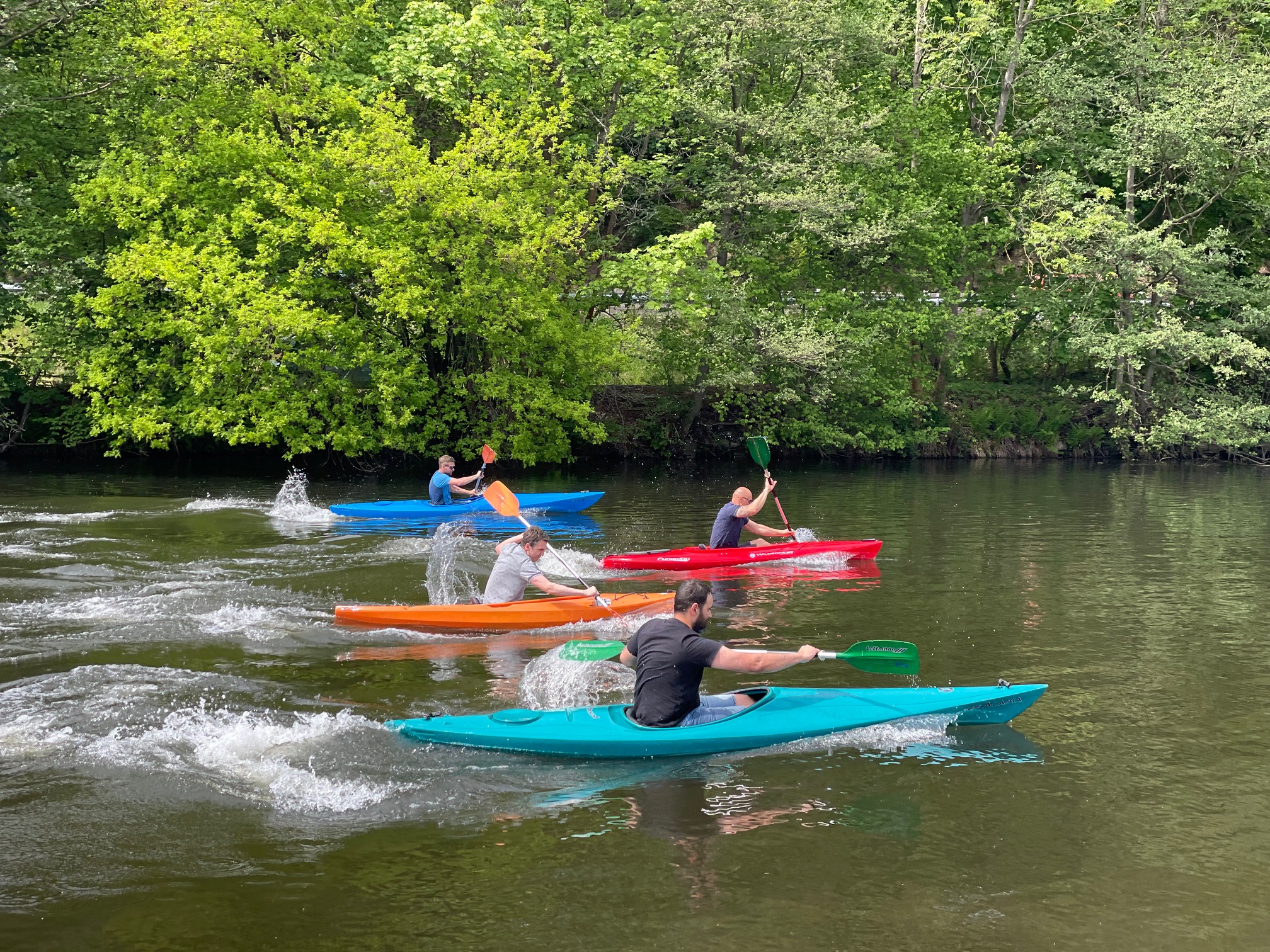 Vereinsmeisterschaft